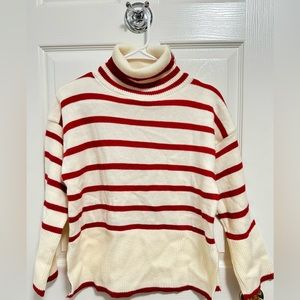 Turtle Neck Sweater
